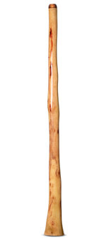 Epoxy Resin Finish Flared Didgeridoo (NW159)
